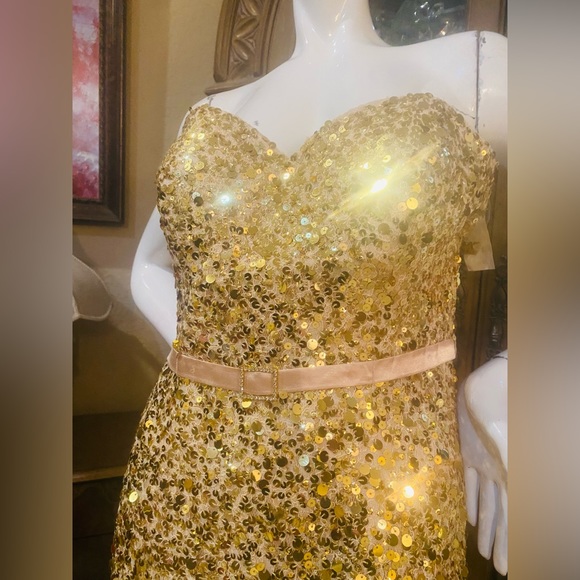 Niki Livas Gold Sequins Cream Tulle Strapless Contouring Gown Sz 10 - Picture 3 of 10